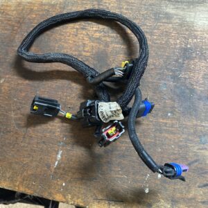 HARNESS ENGINE XL OEM 69200077